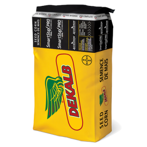 DKC101-33RIB – SSP